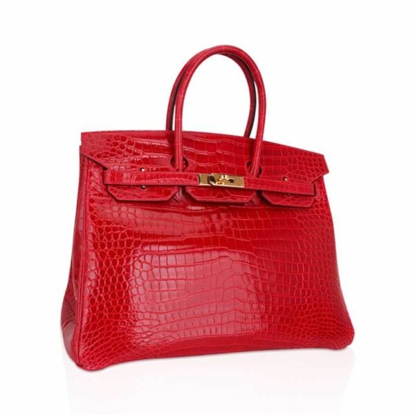 7AAFEB3B-B898-FA48-4B04-2CD4EDCAA952.jpg Birkin 35 Bag Braise Porosus Crocodile with Gold Hardware
