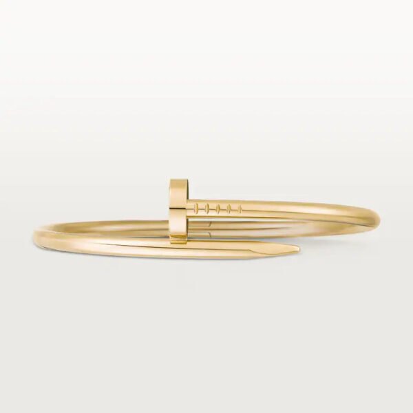 82654D6A-AC61-EDF9-D7D3-94B42AFC43FF.jpg JUSTE UN CLOU BRACELET