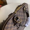 Louis Vuitton Alma N53151 PM