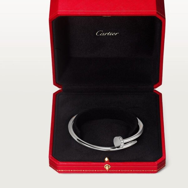 842A1D7B-36B7-61B6-F516-A8FE98992071-1.jpg JUSTE UN CLOU BRACELET