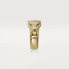 853BFA21-C99F-4EAE-1B9D-9EF9949772CF.png PANTHERE DE RING
