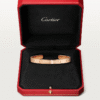 8699266D-927A-24B1-821E-760BAECCA6A4-1.png LOVE BRACELET