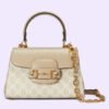 8877DB88-01CA-0D82-45AD-15F30AF43AC1.jpg HORSEBIT 1955 MINI BAG