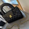 8C077710-AADC-82FA-4606-6426D77D7F67.jpg Shiny Aged Calfskin Coral Mini Kelly Shopping Bag - Black
