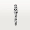 8D0AD135-5594-F44C-8C03-B62A9CF8BD45.jpg PANTHERE DE BRACELET