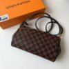 Louis Vuitton Favorite MM N41129