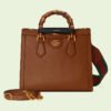 DIANA SMALL TOTE BAG