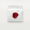 95140346-710D-7EF3-ADFD-FB79504BF8B0.png PANTHERE DE RING