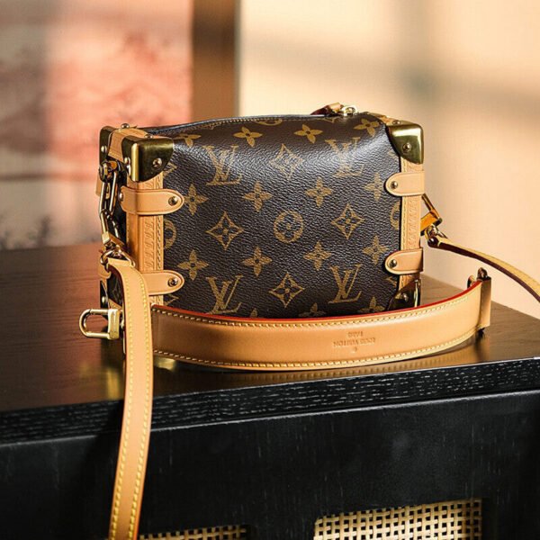 Louis Vuitton M46815 Side Trunk PM
