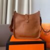 98F6F569-D84A-BB2A-8786-247098B7D922.jpg Evelyne 25 bag