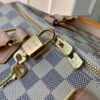 Louis Vuitton Speedy Bandouli&egrave;re 25 N40608