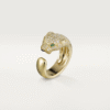 9AA8D03B-A79D-6DB2-8398-90D80530F4E8.png PANTHERE DE RING