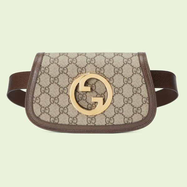 9D8820F1-C6ED-9E9F-3914-FEDDA0328502_04414d34-55fe-48b1-8b3b-779e2c43f1e0.jpg BLONDIE BELT BAG