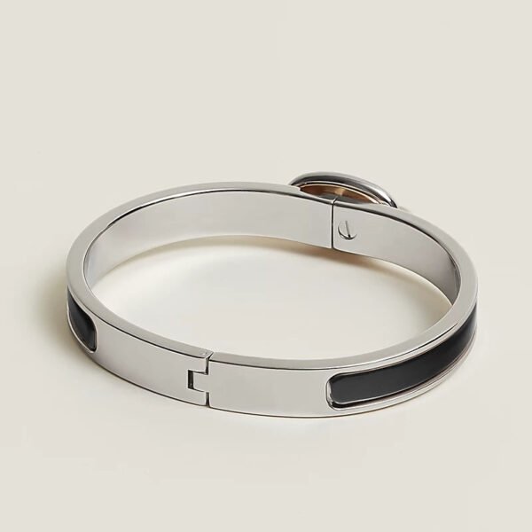 9DB9EB85-A293-DC9A-AC82-01470016E782.jpg Hermes Mini Clic Chaine d'Ancre bracelet