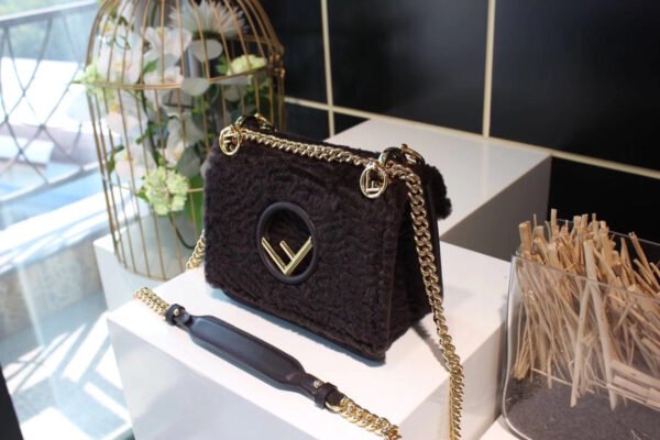 Fendi Kan I F Bag