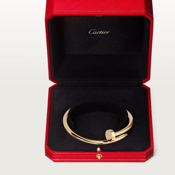 A02BF366-C41D-5FEA-DB73-DC9F67279609-1.jpg JUSTE UN CLOU BRACELET