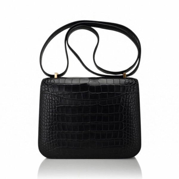 A0F6807B-CDFB-7D01-CA2D-A5D7EEC243F2.jpg Mini Constance 18 Bag Black Matte Alligator with Gold Hardware and Mirror