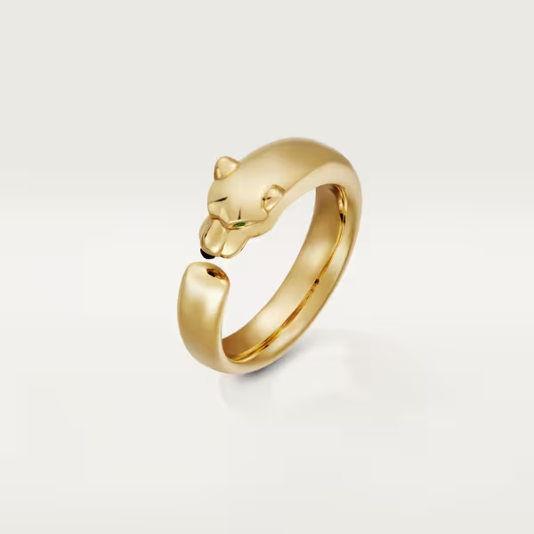 A14FF809-2656-869E-80F4-4648BA639D68.png PANTHERE DE RING