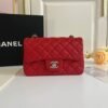 Chanel Mini Flap Bag A01116