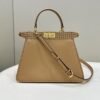 A2ECF932-0127-6E76-5A9D-D25E17C490BE.jpg Fendi Peekaboo Small iseeu Bag