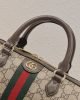 A6543449-257A-925E-1987-80EACC0B18D8.jpg Gucci Ophidia GG Small
