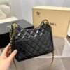 Chanel 23C Hobo New Gold Coin Bag