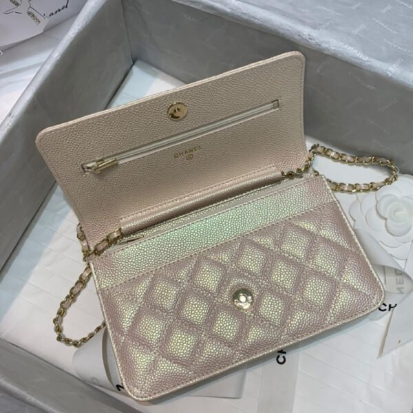 A7BB5A31-2AE7-6AED-B684-EBA774CF3D4F.jpg CHANEL Wallet On Chain