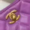 Chanel Hobo Handbag Purple Bag For Women 16cm/6in