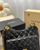 Chanel 23C Hobo New Gold Coin Bag