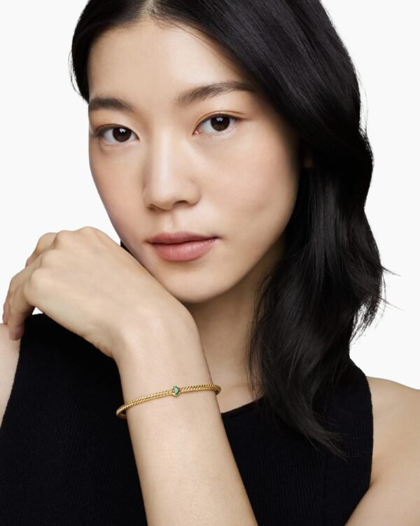 A9AC9FAB-6AAD-FC1B-1235-935EFF55A077.jpg Classic Cablespira® Station Bracelet 18K Yellow Gold with Pavé Emeralds, 3mm