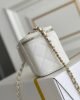 Chanel Chain Cosmetic Bag