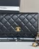 Chanel WOC fortune bag