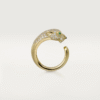 AE78E981-3749-18D5-A4DE-BAA78767296F.png PANTHERE DE RING