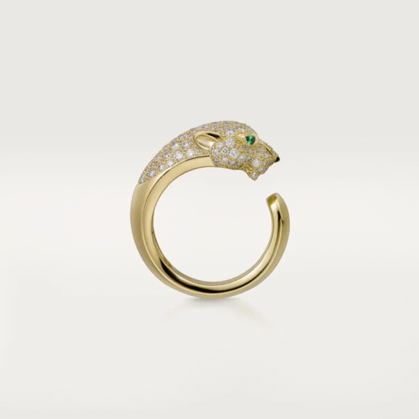 AE78E981-3749-18D5-A4DE-BAA78767296F.png PANTHERE DE RING