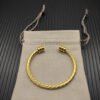 AF47ED05-D752-FBCD-AEFC-90812E2CA926.jpg 4mm Cable Classic Bracelet with Gold