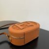 Fendi Mini Camera case Bag