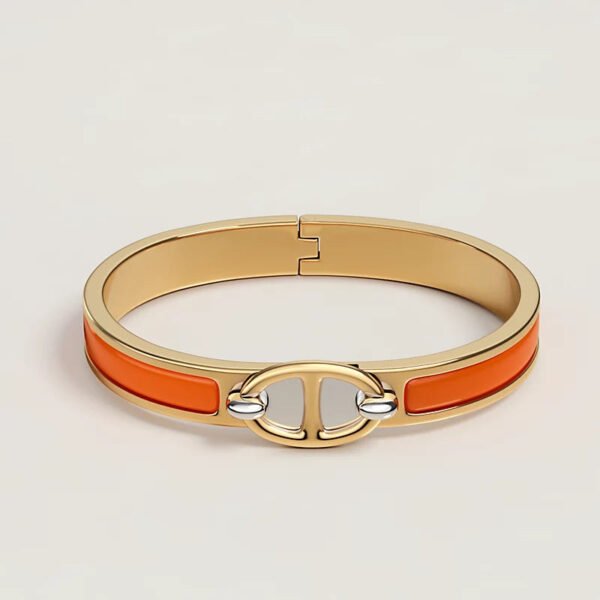 B1D6F0A0-7317-0312-DB80-3C0E832B0AC9.jpg Hermes Mini Clic Chaine d'Ancre bracelet