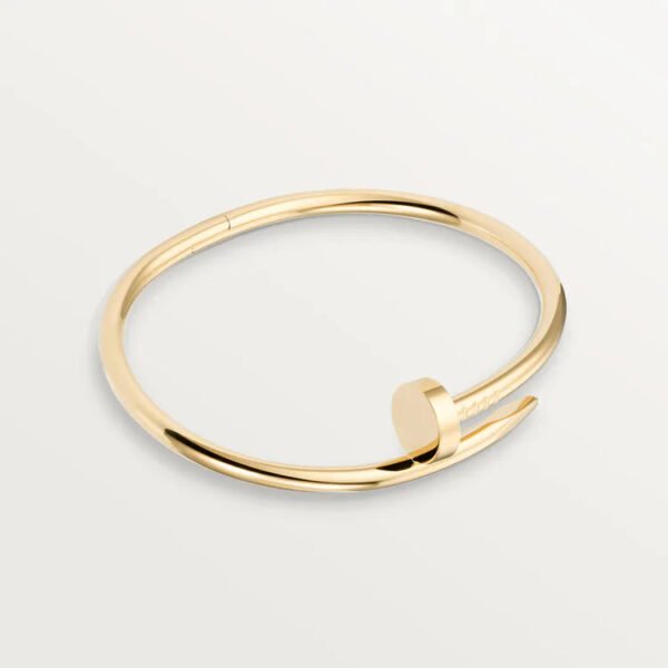 B22B2873-2E23-CC8C-3CBE-0AA04F113A28.jpg JUSTE UN CLOU BRACELET