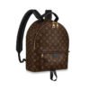 Louis Vuitton Palm Springs MM M44874