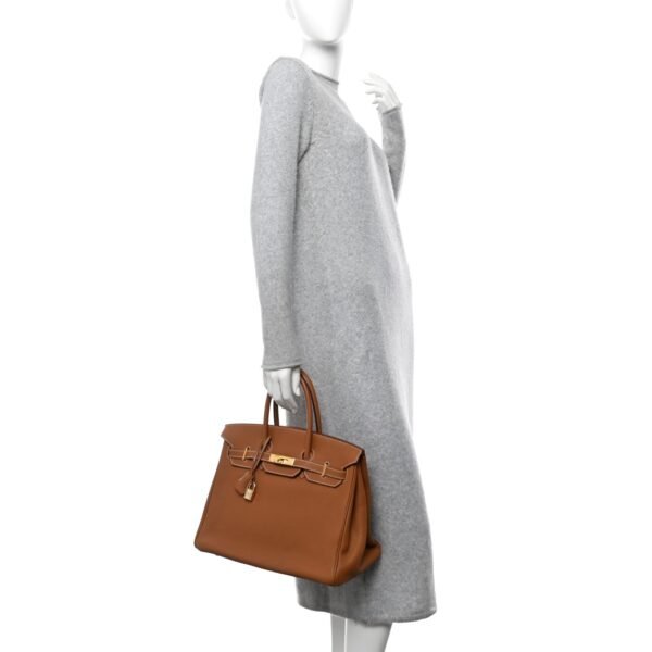 Birkin 25 Taurillon Clemence Gold Hardware