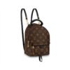 Louis Vuitton Palm Springs Mini M44873