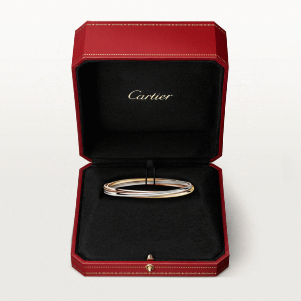 B3E4188D-2DA0-438B-26A4-E332213CC8D1-1.png TRINITY BRACELET