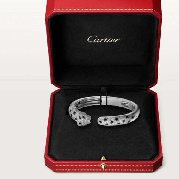 B59F952C-5FE6-CCD8-528F-07D3A63986CC.jpg PANTHERE DE BRACELET