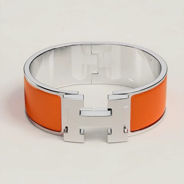 B62B8B4A-BA8A-6186-849D-802024CF21B7.jpg Hermes Clic Clac H bracelet