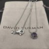 B73B4E6B-3D07-1F08-B9A8-2D5160A2A7A8.jpg Petite Chatelaine® Necklace Sterling Silver with Amethyst, 10mm
