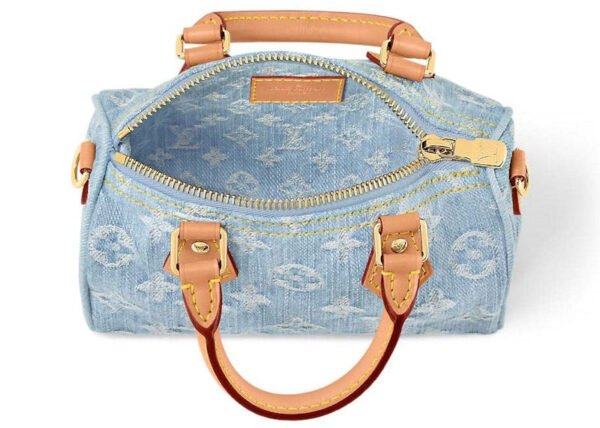 Louis Vuitton Nano Speedy