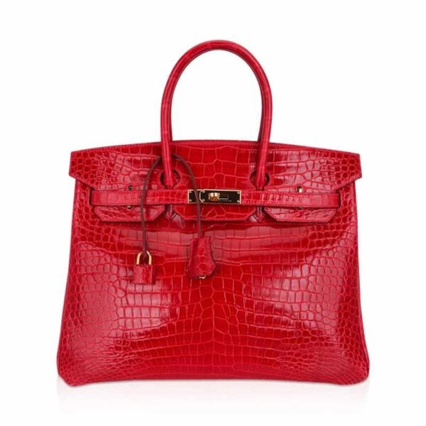 B81984CB-FBA2-FD58-21F0-A773D4FDAE15.jpg Birkin 35 Bag Braise Porosus Crocodile with Gold Hardware