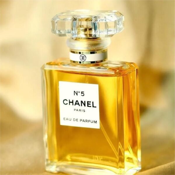 BC0A212E-9F32-9E1A-0115-0216F99F559D.jpg GABRIELLE CHANEL CLASSICS