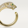 BD1A3294-F5C2-1135-DA58-224D0E2B99C9.png PANTHERE DE RING