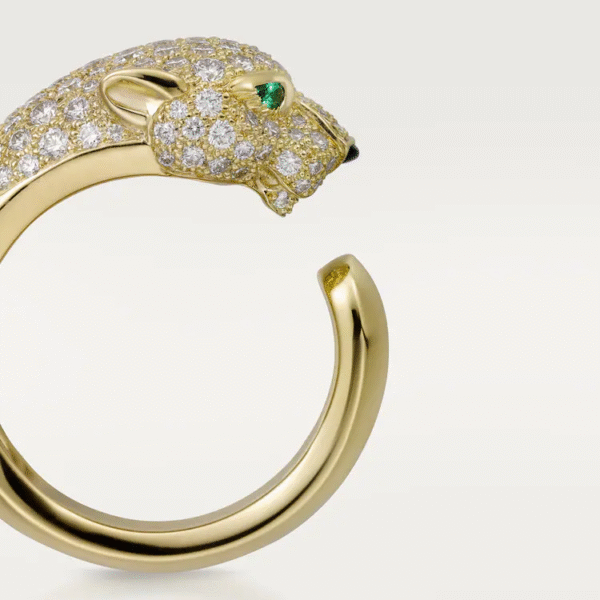 BD1A3294-F5C2-1135-DA58-224D0E2B99C9.png PANTHERE DE RING
